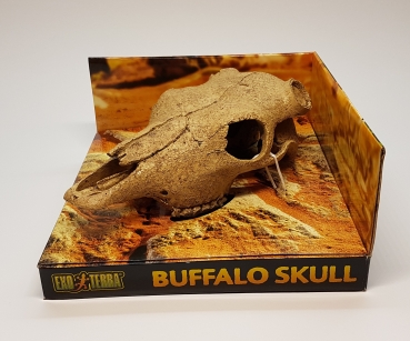 Exo Terra Buffalo Skull 24 cm