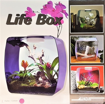 Lucky Reptile Life Box 30 x 30 cm purple/beere