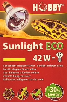 Hobby Sunlight Eco 42 W