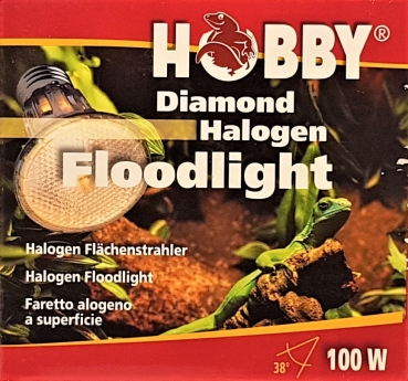 Hobby Halogen Floodlight 100 W