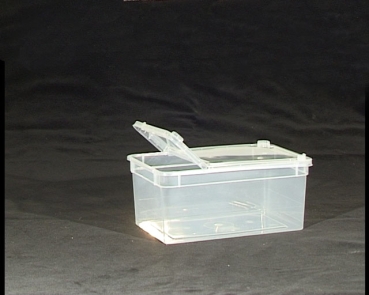 Transport Box transparent 19 x 12,5 x 7,5 cm / 1,3 l