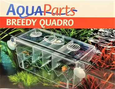 Ablaichbox Breedy Quadro