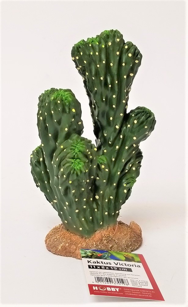 Deko Kaktus Victoria 19 cm 